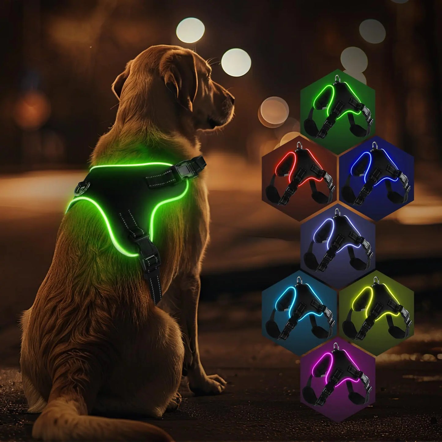 LED Light-Up Dog Harness β Adjustable, USB Rechargeable & High Visibility for Night Walks