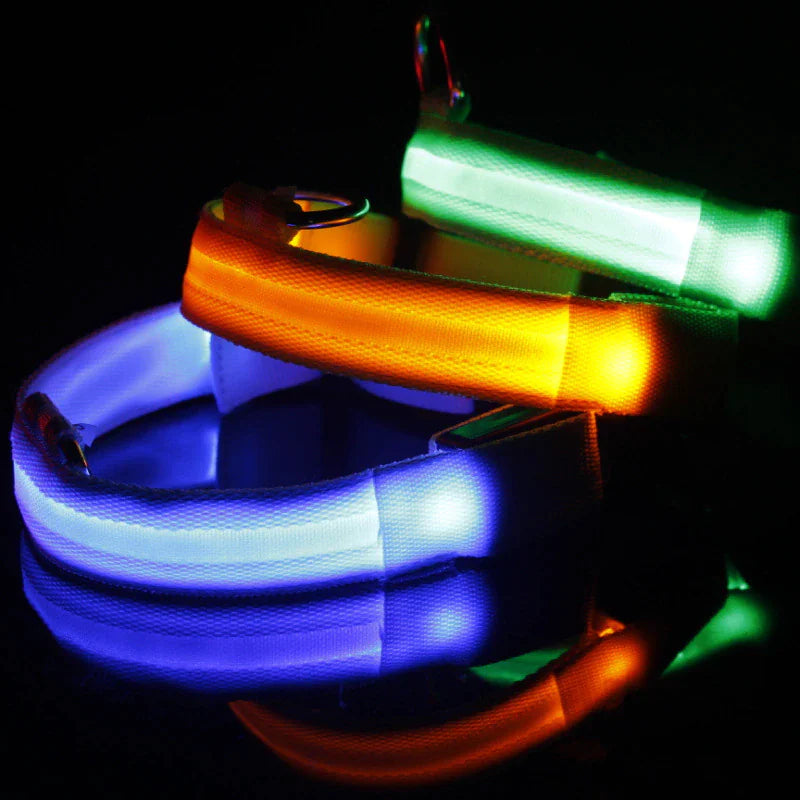 BrightGlow LED Dog Collar