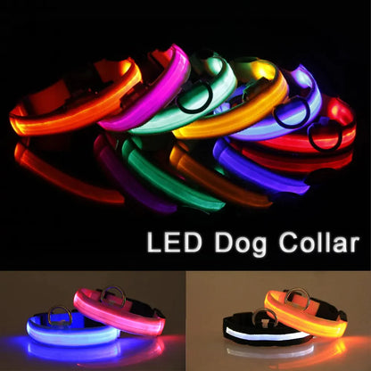BrightGlow LED Dog Collar
