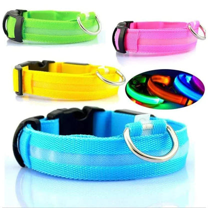 BrightGlow LED Dog Collar