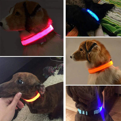 BrightGlow LED Dog Collar