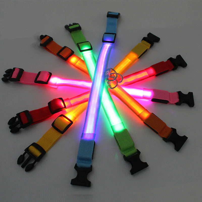 BrightGlow LED Dog Collar