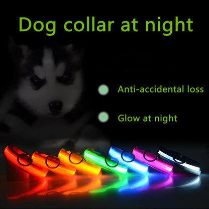 BrightGlow LED Dog Collar