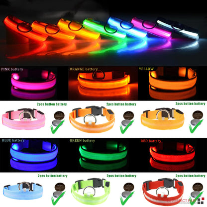 BrightGlow LED Dog Collar