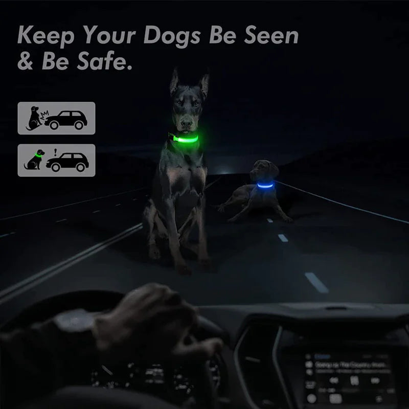 BrightGlow LED Dog Collar