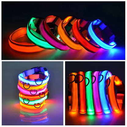 BrightGlow LED Dog Collar