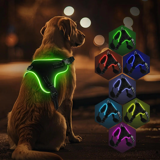 LED Light-Up Dog Harness – Adjustable, USB Rechargeable & High Visibility for Night Walks