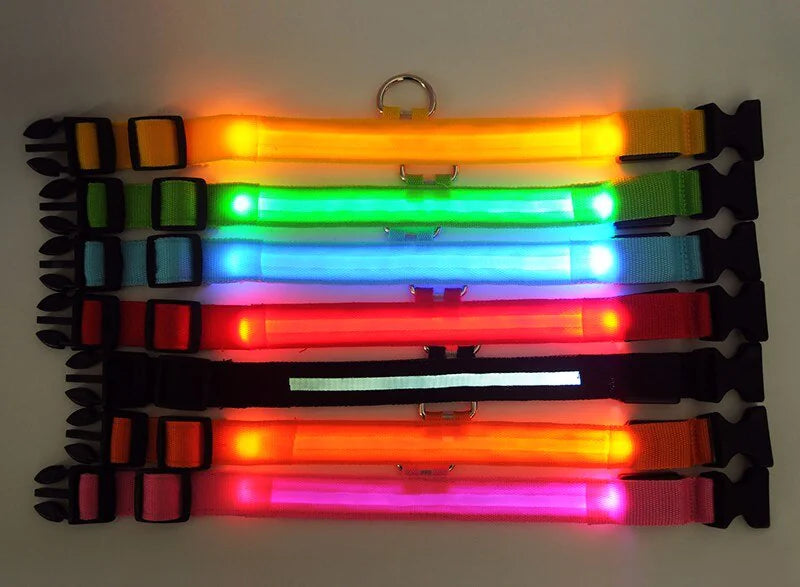 BrightGlow LED Dog Collar