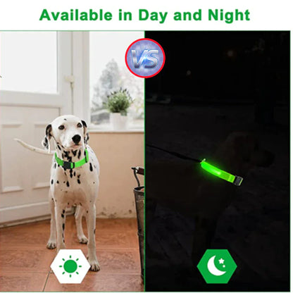 BrightGlow LED Dog Collar