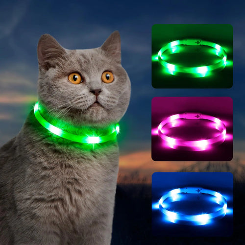 Rechargeable LED Cat Collar – Cut-to-Fit Glow in the Dark Safety Collar for Night Walks
