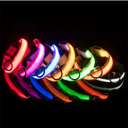 BrightGlow LED Dog Collar