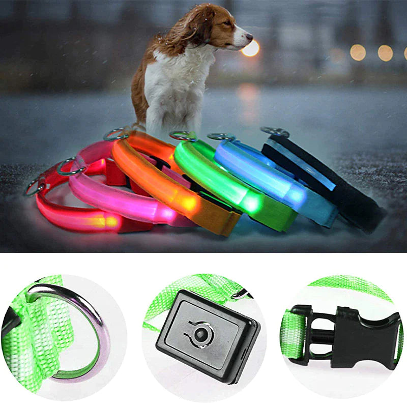 BrightGlow LED Dog Collar