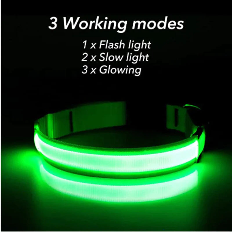 BrightGlow LED Dog Collar