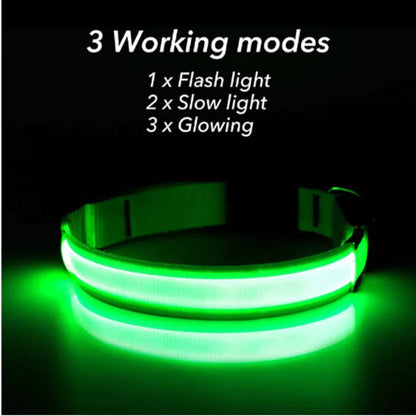 BrightGlow LED Dog Collar