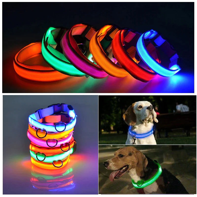 BrightGlow LED Dog Collar