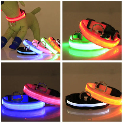 BrightGlow LED Dog Collar