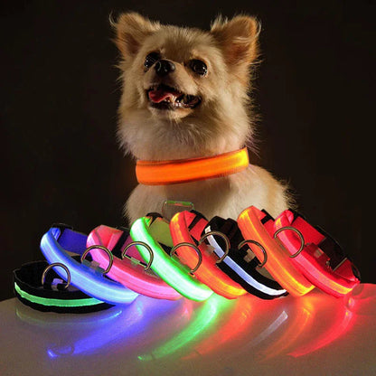 BrightGlow LED Dog Collar