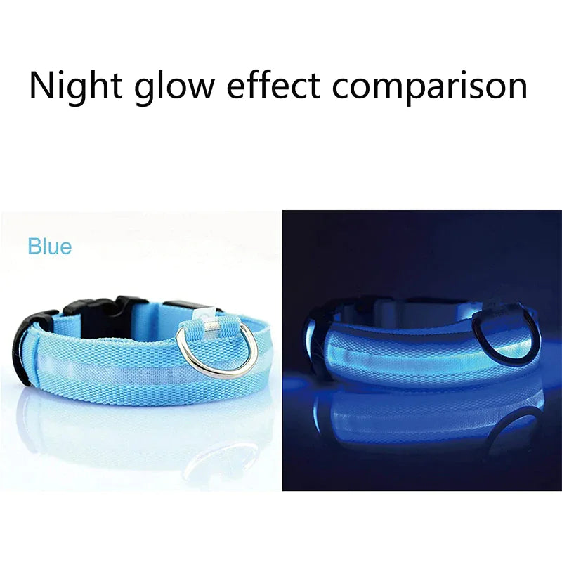 BrightGlow LED Dog Collar